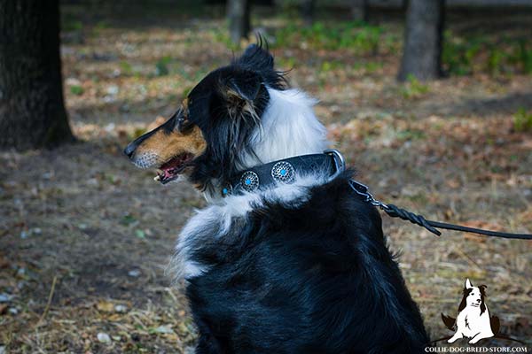 Collie black leather collar easy-to-adjust with handset decoration for walking in style