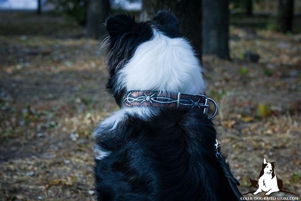 Leather dog collar for Collie with handmade painting
