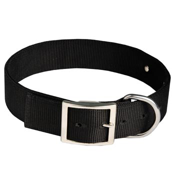 Collie Training Collar with ID Tag