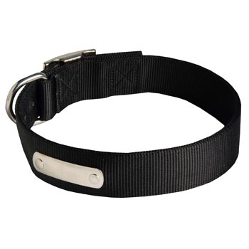 Nylon Collie Collar with Identification Tag