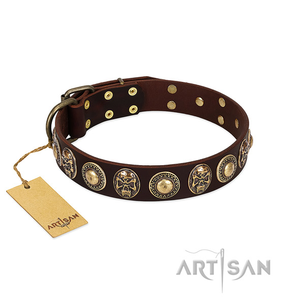 Exceptional natural genuine leather dog collar for stylish walking