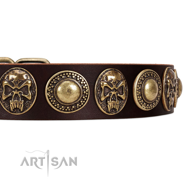 Natural genuine leather dog collar with studs for daily walking