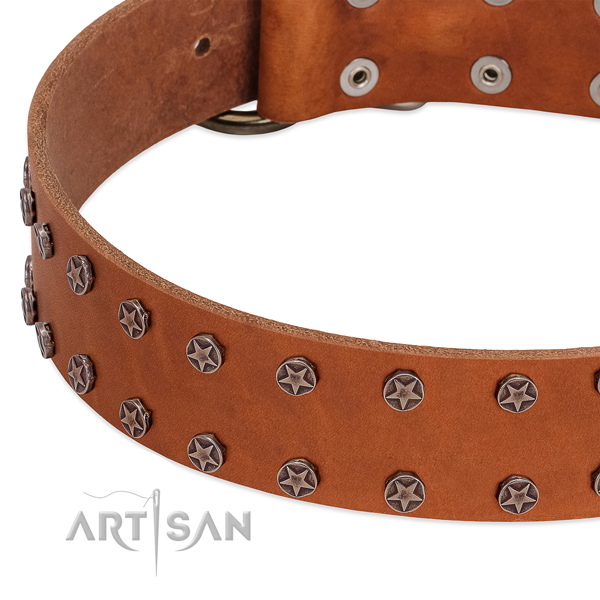 Unusual full grain natural leather dog collar for everyday walking