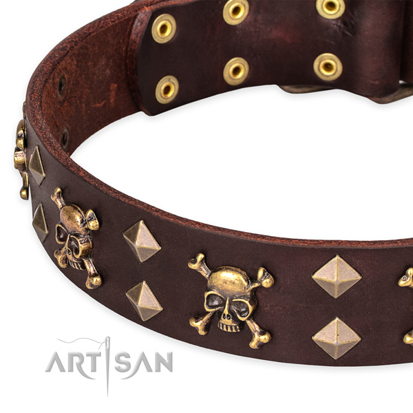 Comfortable wearing embellished dog collar of strong natural leather