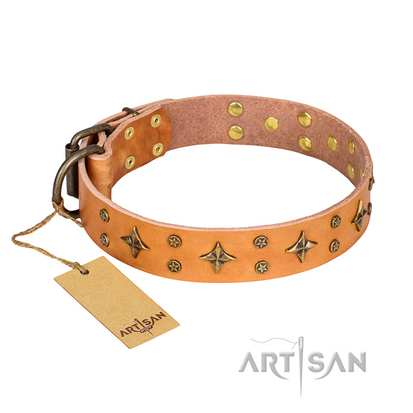 Comfortable wearing dog collar of fine quality leather with decorations