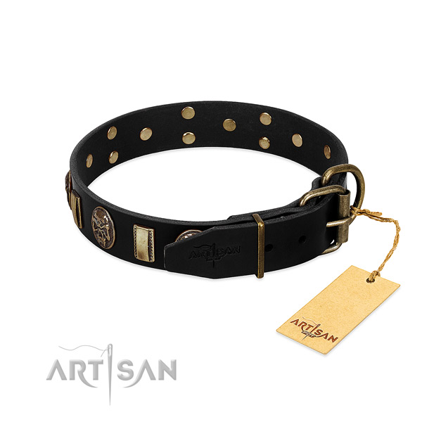 Genuine leather dog collar with durable traditional buckle and studs