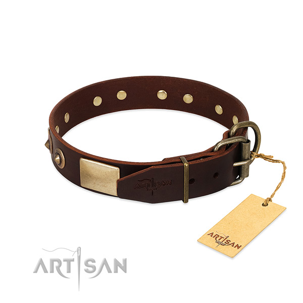 Reliable adornments on daily use dog collar