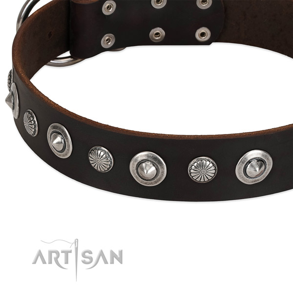 Exceptional adorned dog collar of durable leather