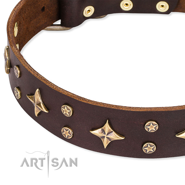 Fancy walking adorned dog collar of quality full grain genuine leather
