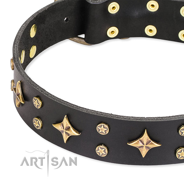 Comfortable wearing adorned dog collar of strong leather