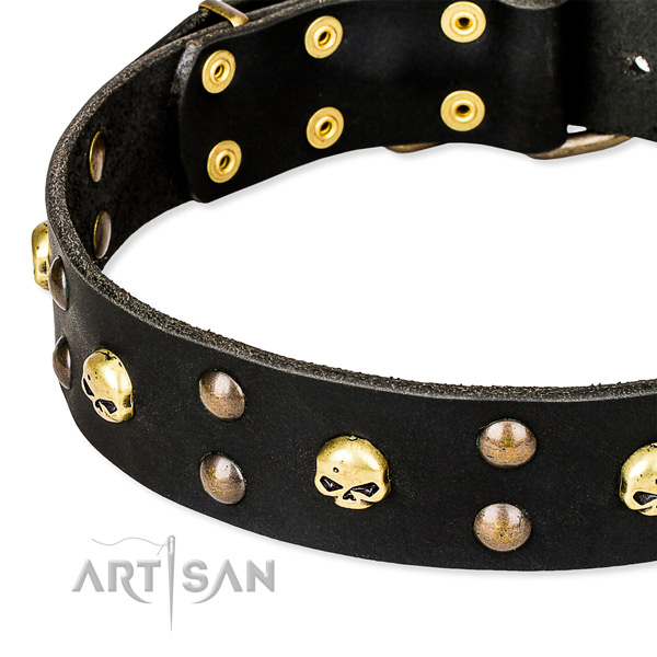 Basic training embellished dog collar of durable natural leather