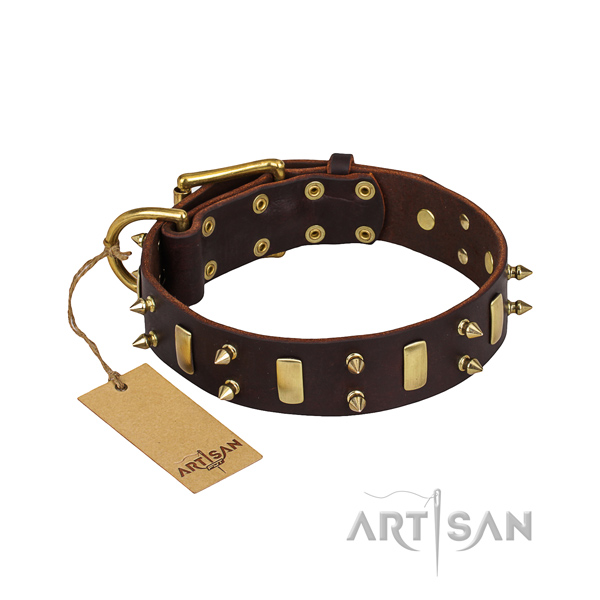 Stylish walking dog collar of fine quality full grain natural leather with adornments