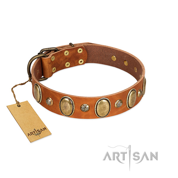 Natural leather dog collar of top rate material with trendy decorations