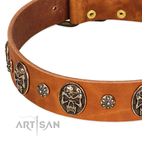 Rust resistant fittings on full grain leather dog collar for your canine