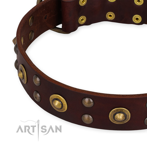 Genuine leather collar with rust resistant traditional buckle for your beautiful four-legged friend