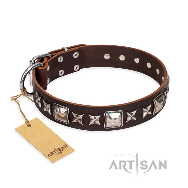 Everyday use dog collar of quality full grain leather with decorations