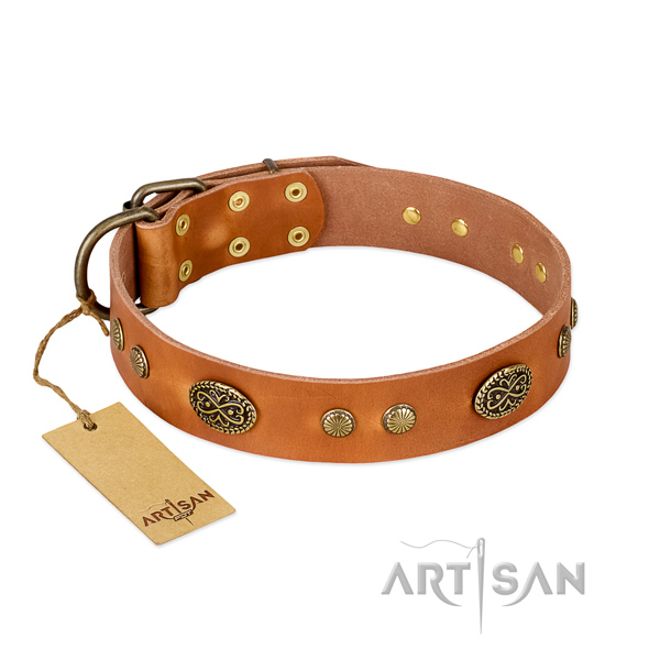 Durable decorations on leather dog collar for your dog
