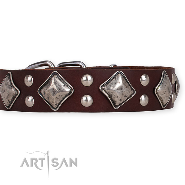 Leather dog collar with exquisite rust-proof adornments
