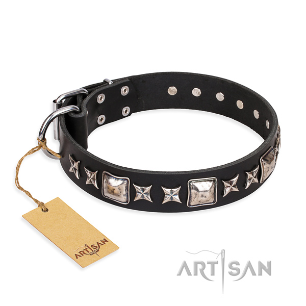 Walking dog collar of durable full grain natural leather with embellishments