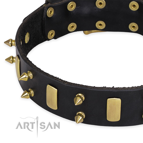 Easy wearing adorned dog collar of top notch full grain natural leather