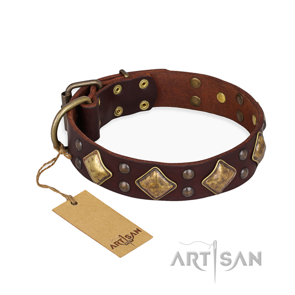 Easy wearing best quality dog collar with rust resistant fittings