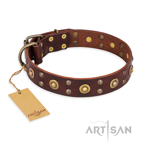 Impressive full grain natural leather dog collar with strong buckle