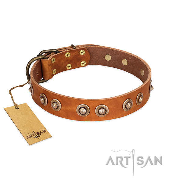 Rust resistant fittings on leather dog collar for your canine