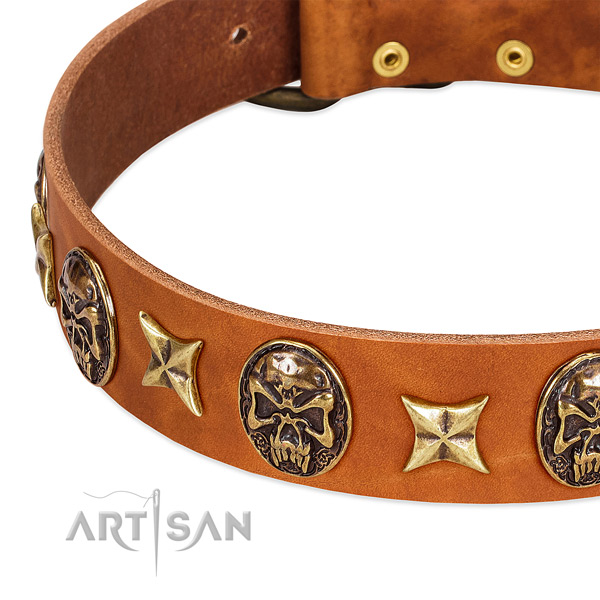 Rust-proof traditional buckle on leather dog collar for your four-legged friend