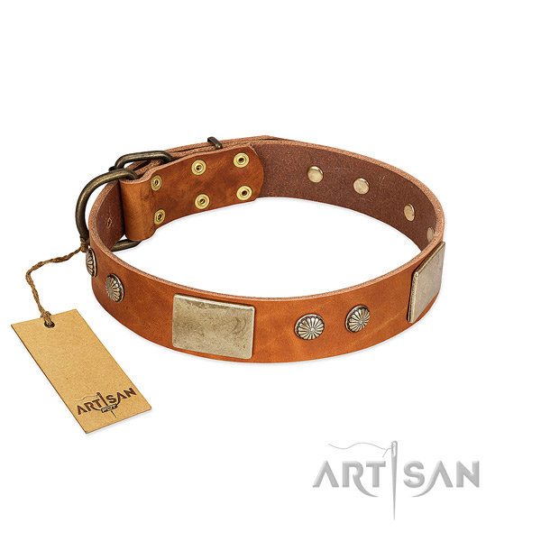 Easy wearing full grain leather dog collar for basic training your four-legged friend