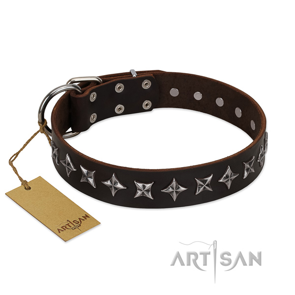 Stylish walking dog collar of strong natural leather with adornments
