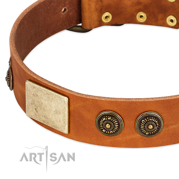 Trendy dog collar created for your handsome pet