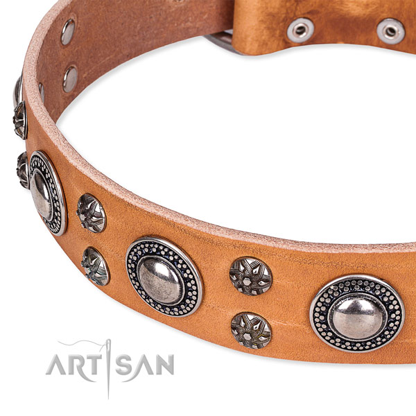 Everyday use decorated dog collar of strong natural leather