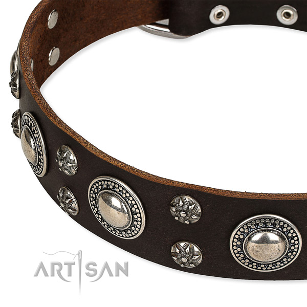 Everyday use studded dog collar of best quality genuine leather