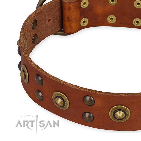 Leather collar with corrosion proof traditional buckle for your lovely doggie