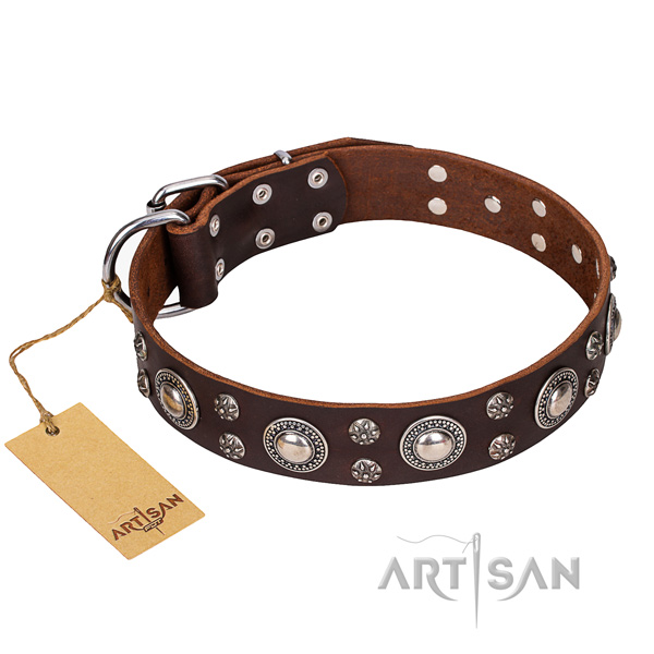 Basic training dog collar of finest quality full grain leather with adornments