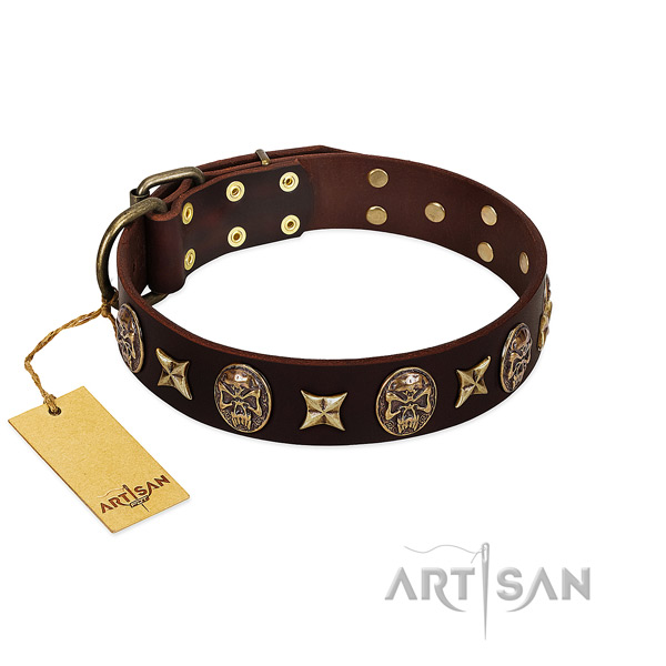 Adorned leather collar for your doggie