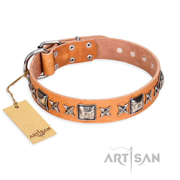 Basic training dog collar of high quality full grain leather with studs