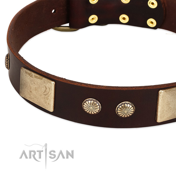 Corrosion resistant adornments on genuine leather dog collar for your canine