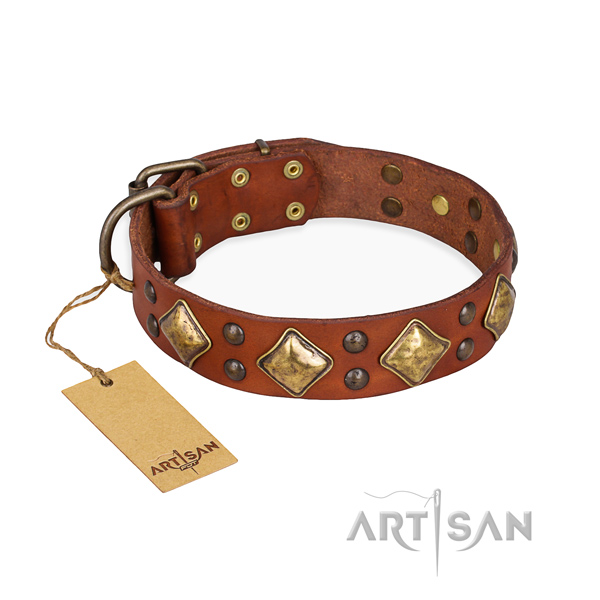 Comfortable wearing top quality dog collar with durable fittings