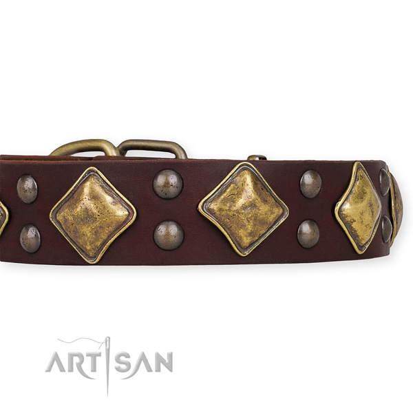Leather dog collar with unique corrosion proof studs