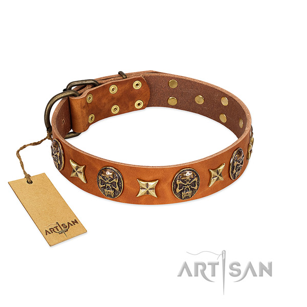 Fashionable natural genuine leather collar for your four-legged friend