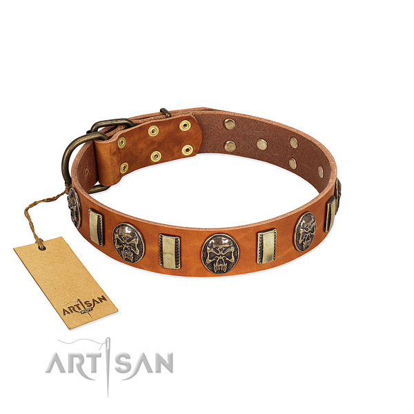 Comfortable full grain natural leather dog collar for everyday use