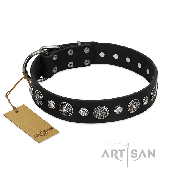 Reliable full grain genuine leather dog collar with incredible embellishments
