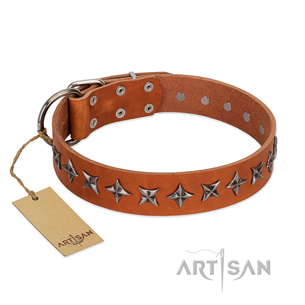 Easy wearing dog collar of quality leather with adornments