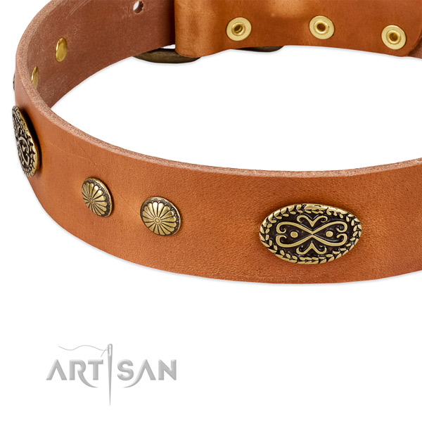 Corrosion resistant studs on full grain natural leather dog collar for your doggie