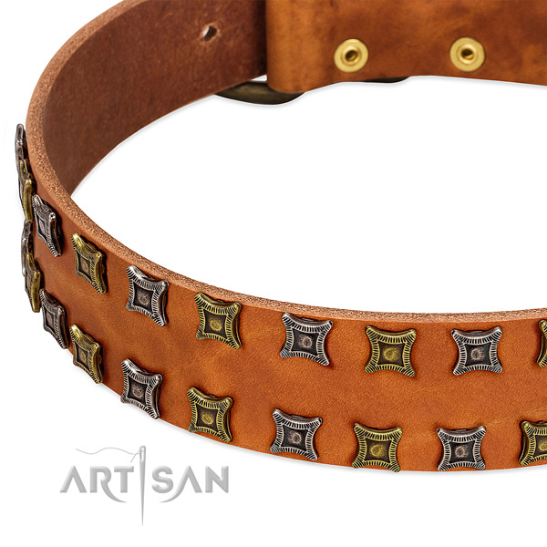 Top notch full grain genuine leather dog collar for your impressive four-legged friend