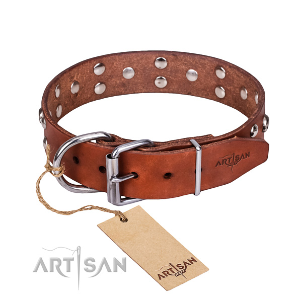 Comfy wearing dog collar of strong leather with decorations