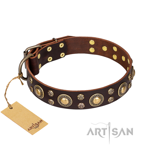 Stylish walking dog collar of quality leather with adornments