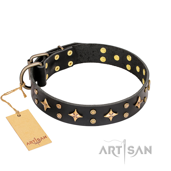 Comfy wearing dog collar of high quality full grain natural leather with decorations