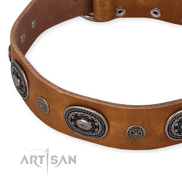 Top rate genuine leather dog collar made for your lovely doggie
